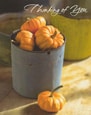 thank you card 11 cover