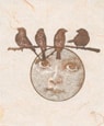 thank you card 9 cover